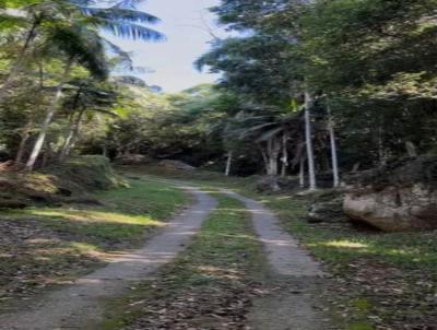 Terreno para Venda, em Florian�polis, bairro Ratones