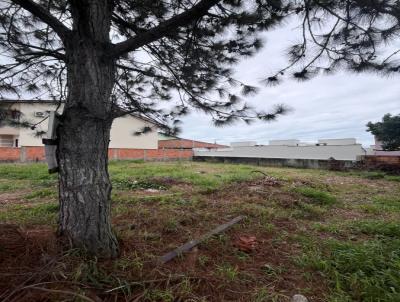 Terreno para Venda, em Florian�polis, bairro Ingleses do Rio Vermelho