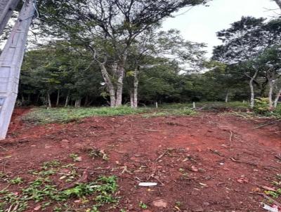 Terreno para Venda, em Florian�polis, bairro Cachoeira do Bom Jesus