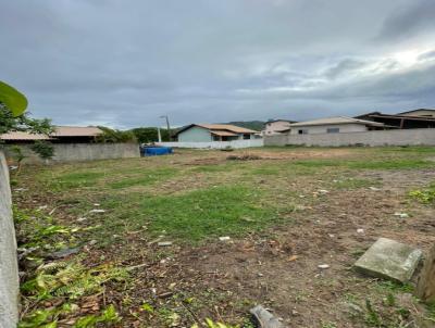 Terreno para Venda, em Florian�polis, bairro S�o Jo�o do Rio Vermelho