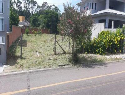 Terreno para Venda, em Florian�polis, bairro S�o Jo�o do Rio Vermelho