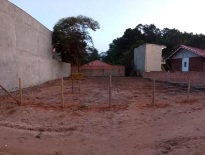 Terreno para Venda, em Florian�polis, bairro S�o Jo�o do Rio Vermelho
