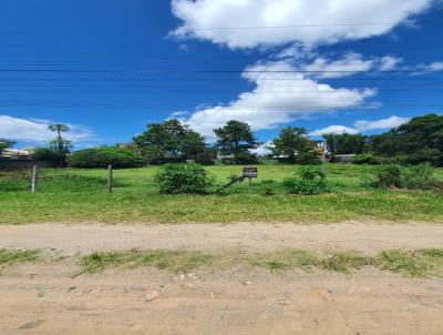 Terreno para Venda, em Florian�polis, bairro S�o Jo�o do Rio Vermelho