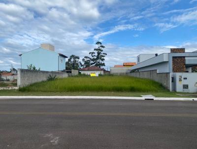Terreno para Venda, em Florian�polis, bairro S�o Jo�o do Rio Vermelho
