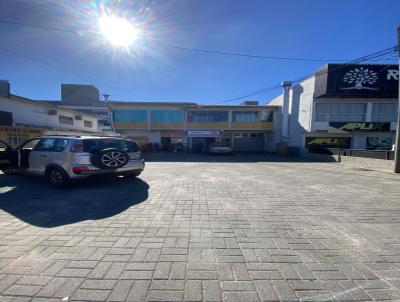 Terreno para Venda, em Florian�polis, bairro Ingleses do Rio Vermelho